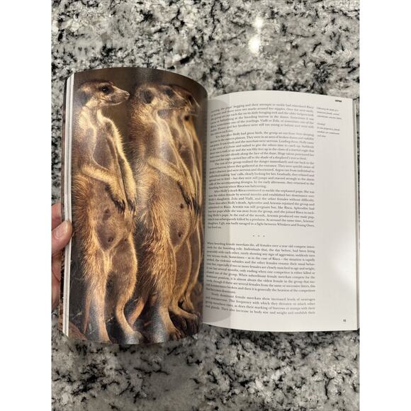 Meerkat Manor - Seasons 1-3 (DVD, 2-Disc Set) - Plus Flower of the Kalahari Book - Picture 12 of 12